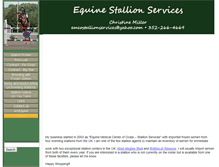 Tablet Screenshot of emcostallionservices.com